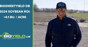 BigSweetYield DB 2024 Soybean ROI: +4.1 Bushel / Acre