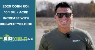 2025 Corn ROI: 10.1 Bu. Per Acre Increase with BigSweetYield DB