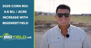 2025 Corn ROI: 4.6 Bu. Per Acre Increase with BigSweetYield