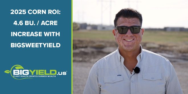 2025 Corn ROI: 4.6 Bu. Per Acre Increase with BigSweetYield