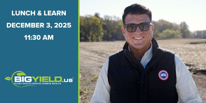 Lunch and Learn - December 3, 2025